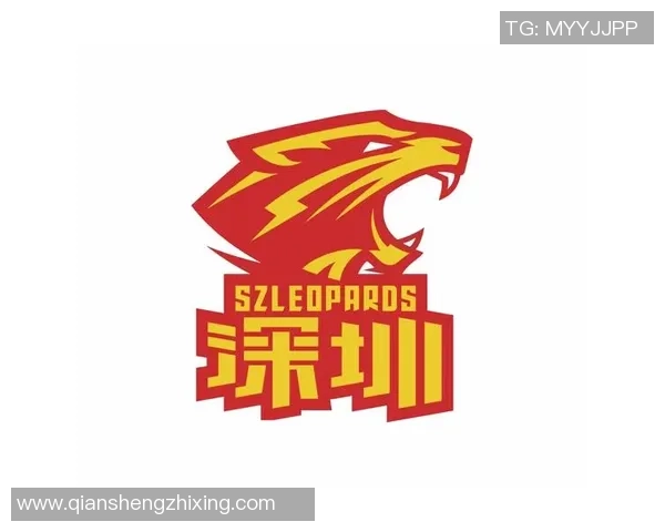 深圳篮球队的运营策略深度分析与市场前景展望